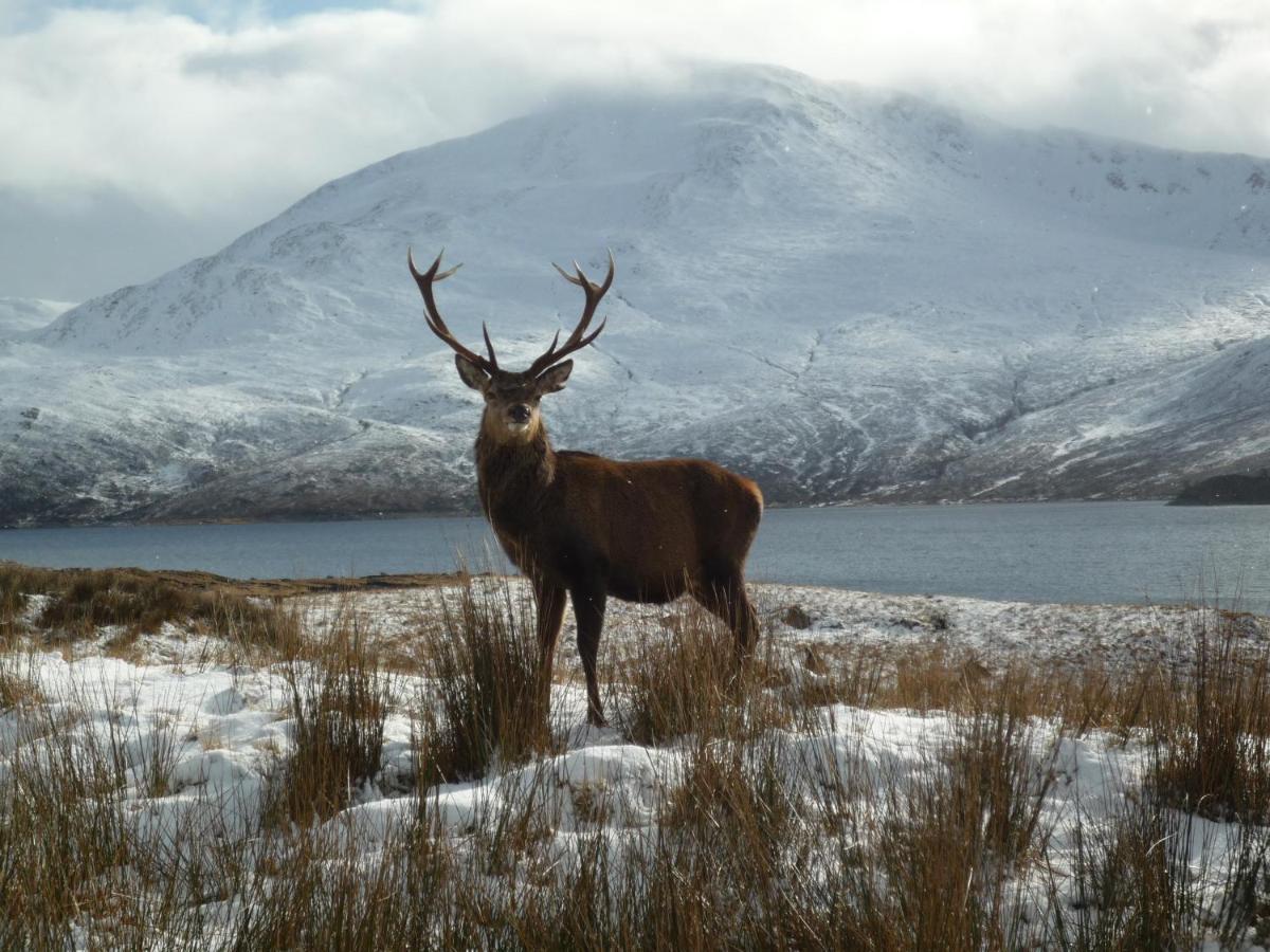 Caledonian Cabin Invergarry Zewnętrze zdjęcie