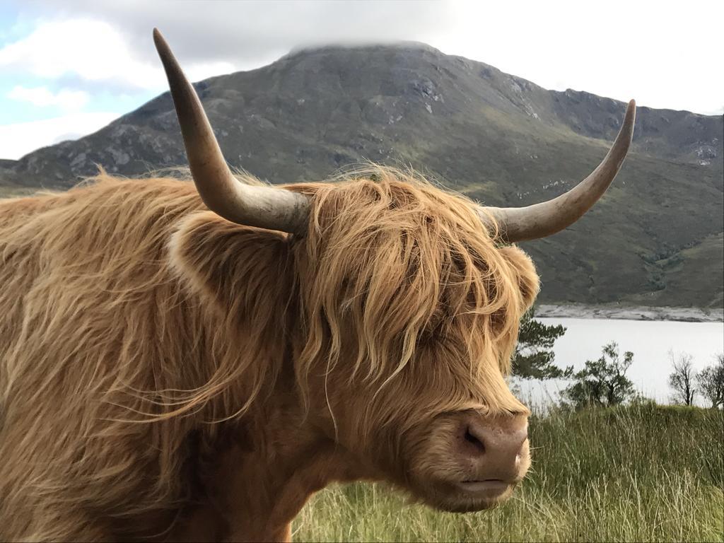 Caledonian Cabin Invergarry Zewnętrze zdjęcie